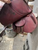 Selle 17 pouces Équipe 2023