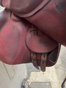 Selle 17 pouces Équipe 2023