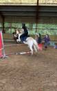 Tapis jumping 