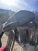 Selle CWD 17 pouces + housse et kit nettoyage 