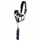 Licol et longe br mini horse - br - confort n&eacute;opr&egrave;ne