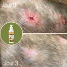 Crème désinfectante et cicatrisante Natural'Balm - Natural'Innov