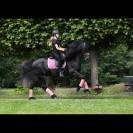 Tapis My Passion SD Design - Divine Rose