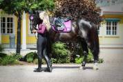 Tapis de selle Vivid Viola - Equito