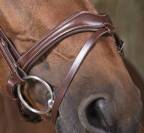 Bridon vague - Norton