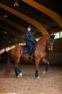 Tapis de dressage Modern Tech Navy - Equestrian Stockholm