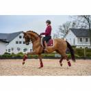 Bandes de polo BE TEMPTED Cherry Milkshake - SD Design