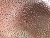 Selle dressage Meyer 17,5