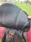 Selle prestige x meredith 