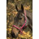 Licol LAMI-CELL LC Taille Cheval