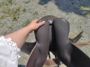 Selle Wintec 2000 marron