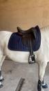 Sella da dressage CWD  17.5" - 2020