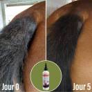 Soin pour la dermite Natural'Itch - Natural'Innov