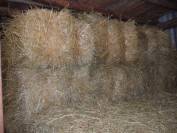 ballot de foin botte balot foin
