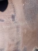 Sella da salto ostacoli Equipe  16.5" - 2011