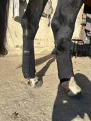 Ensemble de protection de cross 