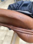 SELLE ANTARES MODELE « ALTAIR » - 17,5 pouces