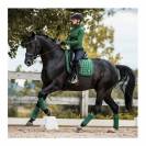Lemieux - Tapis de selle Loire Dressage Memory Square 