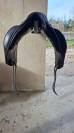 Sella da dressage Equipe  17" - 2021