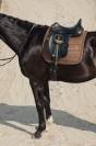 Tapis de selle highgloss jewel heritage 2024 - Eskadron