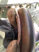 Selle Macel By GT Concept 