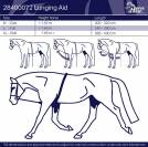 Enrenement corde réglable - harry's horse - coton doux