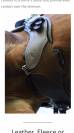 Sangle courte Total Saddle fit 