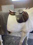 A VENDRE SELLE BRUNO DELGRANGE 17,5