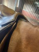 A VENDRE SELLE BRUNO DELGRANGE 17,5