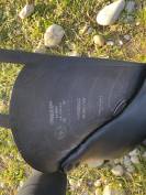 Urgent selle à vendre - 