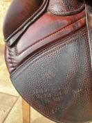 Selle cwd mademoiselle 17’ 