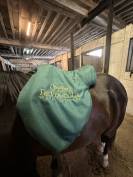 Selle Devoucoux Biarritz S