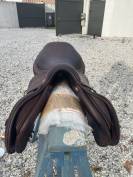 Sella mista CWD  16.5" - 2017