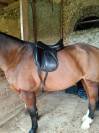 Selle de dressage devoucoux Makila 