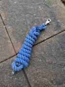 Rêne pony games bleues