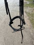 Filet FULL Éric Thomas