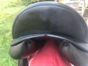 Selle Equipe dressage Olympia