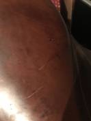 Selle randonnée Trec Forestier