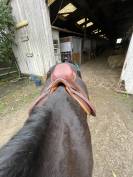 Selle Pessoa à vendre