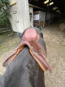 Selle Pessoa à vendre