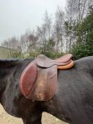 Selle Pessoa à vendre