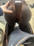 Sella da salto ostacoli Antarès  17" - 2019