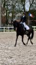 Selle de dressage Forestier Aachen