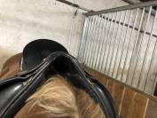 Selle de dressage Eurorising 17"