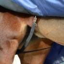 Couverture extérieur Smartex medium - BUCAS