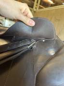 Selle renaissance mixte 18’ année 2021