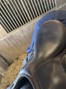 Selle renaissance mixte 18’ année 2021