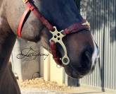 Hackamore baroco artesanal Lazypony / baroque hackamore