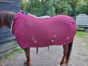 chemise sechante teddy Félix bulher