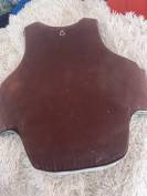 Protection dorsale 